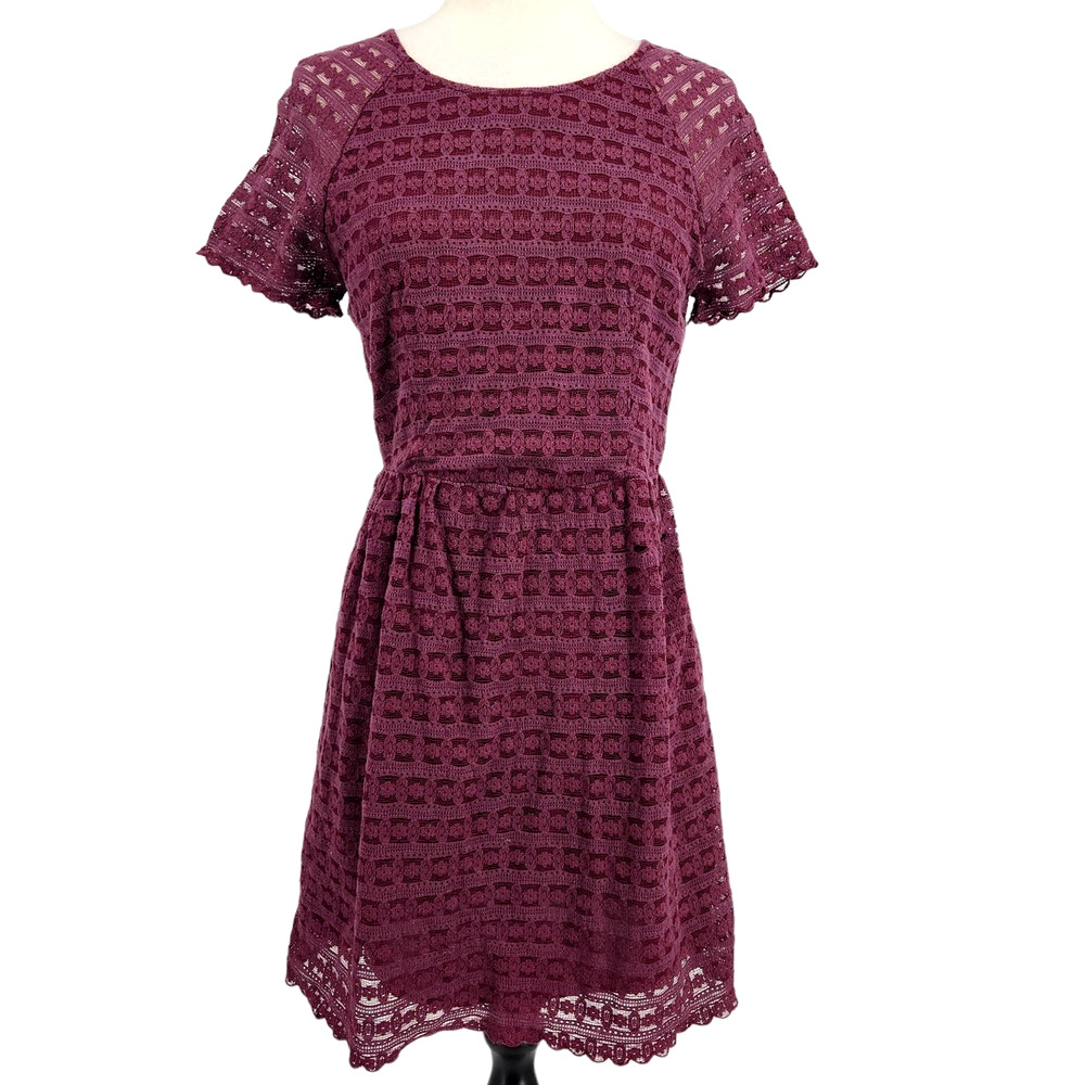 Free People Burgundy Lace Mini